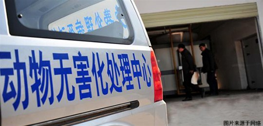 病死畜禽無害化處理存在問題（tí）及對策 